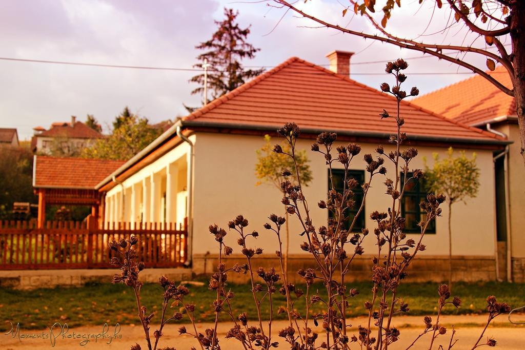 Barta Pince Vendégház Mád Kültér fotó