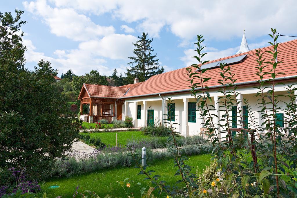 Barta Pince Vendégház Mád Kültér fotó